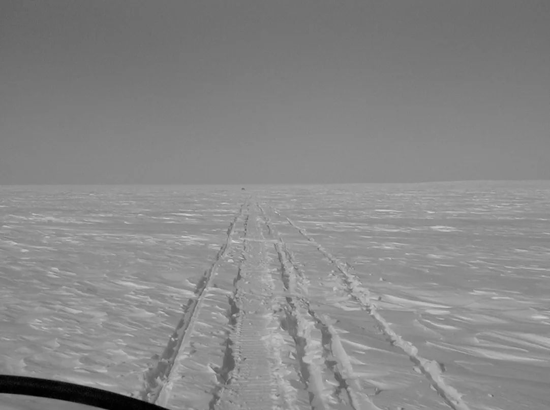 tracks in snow