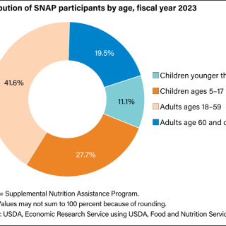 pie chart showing distribution of SNAP participants by age