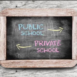 picture of chalkboard with Public School arrow going one way and Private School arrow going the other way